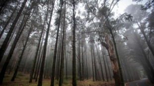 Hafturteil nach Mord vor 31 Jahren im Saarland rechtskr&auml;ftig