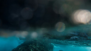 Einschr&auml;nkung von Tiefseefischerei im Nordostatlantik: Spanische Klage erfolglos