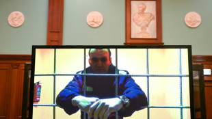 Urteilsverk&uuml;ndung im Prozess gegen Kreml-Kritiker Nawalny erwartet