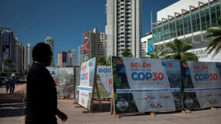 Pese a las tensiones globales que entorpecen los preparativos de la COP30, "el fracaso no es una opción"
