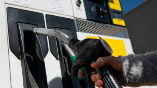 El Gobierno espa&ntilde;ol busca limitar el alza de la electricidad y los carburantes