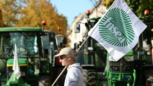 Agriculture: appel &agrave; une nouvelle mobilisation &agrave; partir de mi-novembre