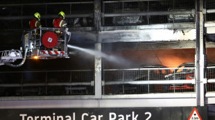 Nach Gro&szlig;brand am Londoner Flughafen Luton: Flugbetrieb wieder aufgenommen