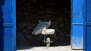 Gaza, 'le Idf distruggono decine di migliaia di aiuti scaduti'