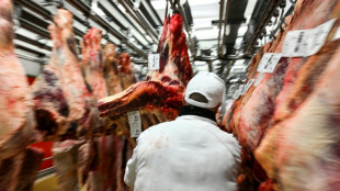 Des manifestants de la Coordination rurale au march&eacute; de Rungis pour d&eacute;noncer l'accord UE-Mercosur