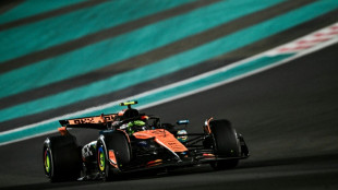 F1: Lando Norris champion du monde gr&acirc;ce &agrave; sa 3e place &agrave; Abou Dhabi