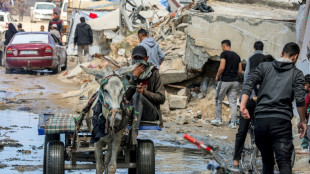 Ham&aacute;s probablemente responda en "48 horas" a la propuesta de tregua de Israel