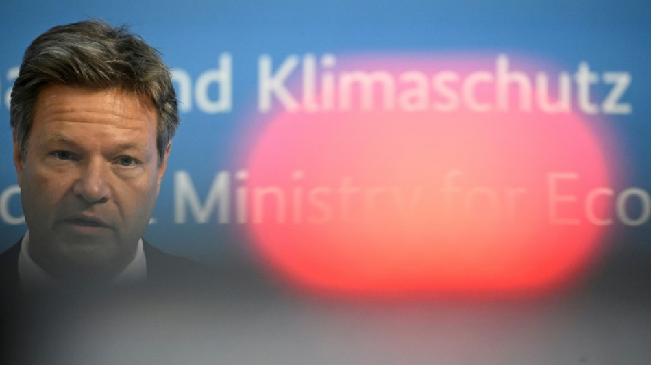 Vorsitzender von Habecks Gr&uuml;nen-Heimatkreisverband legt Amt aus Protest nieder 