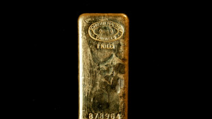 Droits de douane et craintes g&eacute;opolitiques propulsent l'or &agrave; plus de 3.000 dollars