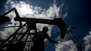 Il petrolio chiude in calo a New York a 61,50 dollari