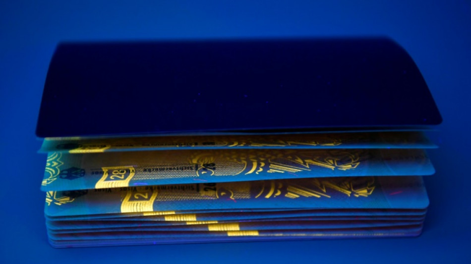 Regierung meldet steigende Visazahlen nach neuem Fachkr&auml;fteeinwanderungsgesetz