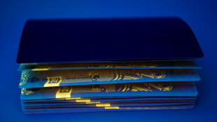 Regierung meldet steigende Visazahlen nach neuem Fachkr&auml;fteeinwanderungsgesetz