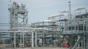 Face &agrave; l'urgence &eacute;nerg&eacute;tique, la Roumanie table sur le gaz de la mer Noire