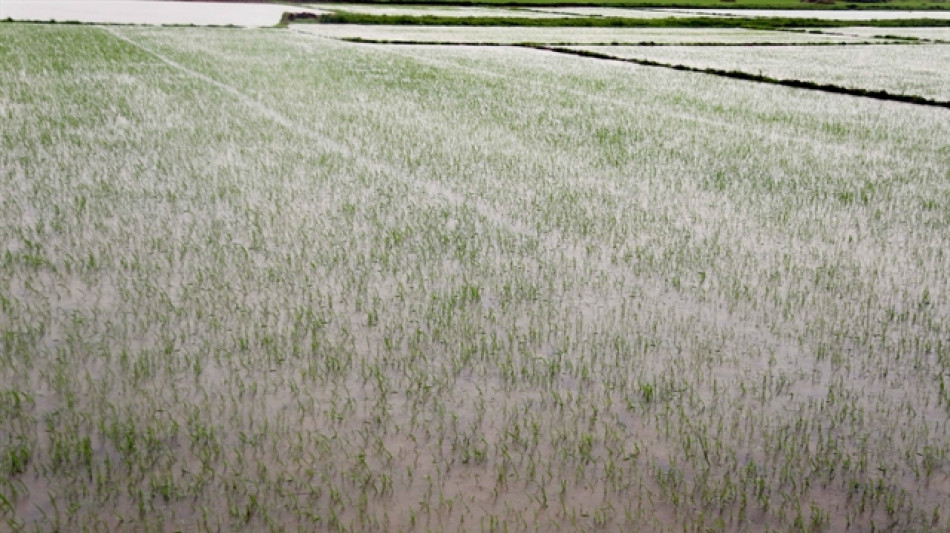 Tempesta Wutip devasta centro del Vietnam, oltre 2.000 evacuati