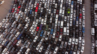 Antitrust sanziona per 18 milioni sei societ&agrave; di autonoleggio