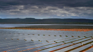 AIE: investimento em energia solar deve superar extração de petróleo