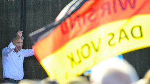 Allemagne : victoire "historique" de l'AfD &agrave; une &eacute;lection r&eacute;gionale, Scholz sanctionn&eacute;