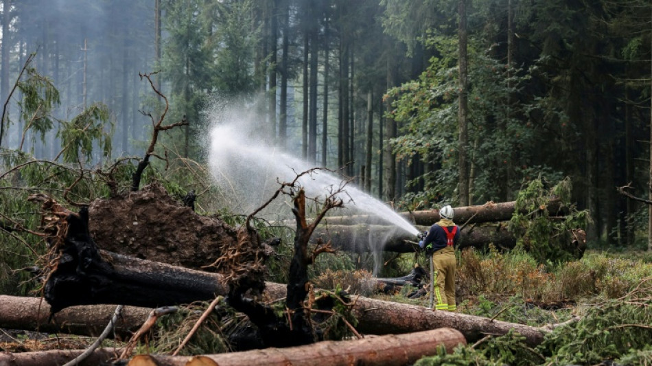 Belgium's fire of the century now 'under control'