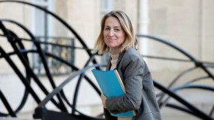 Panosyan-Bouvet: "les conditions &eacute;conomiques se durcissent sensiblement"