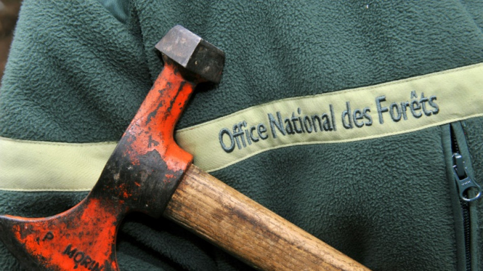 Les forestiers franciliens vis&eacute;s "quotidiennement" par des violences