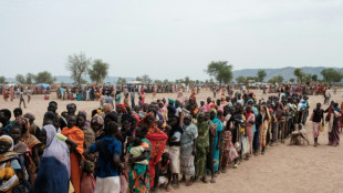 Fome n&atilde;o retrocedeu e afetou 733 milh&otilde;es de pessoas em 2023, segundo a ONU