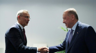 T&uuml;rkei unterst&uuml;tzt Nato-Beitritt Schwedens und Finnlands