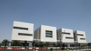 World Cup beer-drinking 'business as usual' in Qatar - top organiser