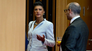 Opposition kritisiert geplante Steuererleichterungen f&uuml;r Fachkr&auml;fte aus Ausland