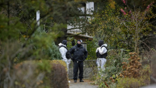 M&aacute;s de 25 presuntos miembros de una red de extrema derecha acusados en Alemania