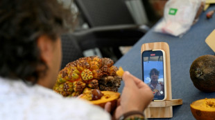 El "se&ntilde;or de las frutas": un gur&uacute; que conserva la riqueza natural de Colombia