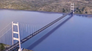 Ponte Stretto, Ciucci 'delibera Cipess entro ottobre previsione realistica'