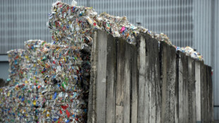 Deutschland verbraucht pro Kopf deutlich mehr Verpackungsm&uuml;ll als der EU-Schnitt