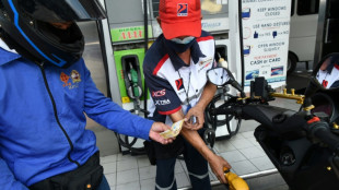 La OPEP eval&uacute;a la demanda de petr&oacute;leo en un contexto de incertidumbre "sin precedentes"