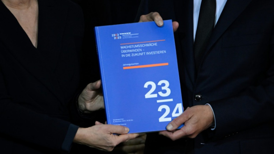 Wirtschaftsweise f&uuml;r Aktienrente, mehr Migration und gegen Industriestrompreis