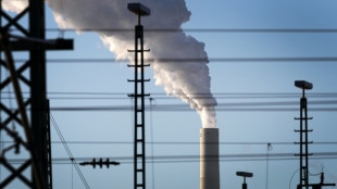 BGH verhandelt &uuml;ber Schiedsklagen von Energiekonzernen gegen EU-Staaten