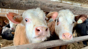 Beaucoup de "fantasmes", les Europ&eacute;ens gagnants: le Ceta vu du Canada