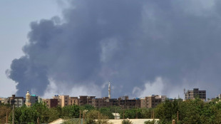 S&uuml;dsudan gibt Einigung auf siebent&auml;gige Waffenruhe im Sudan bekannt