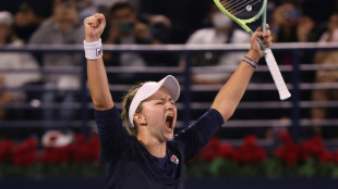 Krejcikova stuns Swiatek to take Dubai title