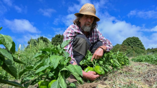 Des agriculteurs du sud de la France sur de nouvelles pistes pour contrer la s&eacute;cheresse