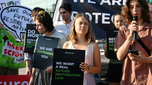 Greta Thunberg demonstriert mit Fridays for Future f&uuml;r EU-Naturschutzgesetz