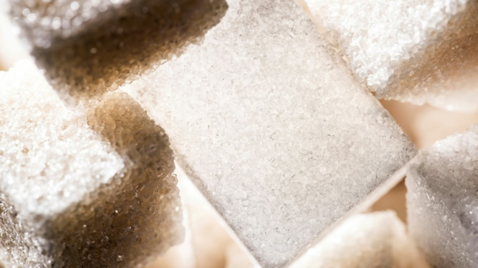 Weltweite Zuckerpreise wegen Wetterph&auml;nomens El Ni&ntilde;o auf 13-Jahres-Hoch