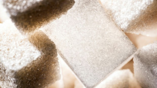 Weltweite Zuckerpreise wegen Wetterph&auml;nomens El Ni&ntilde;o auf 13-Jahres-Hoch