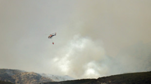 Spain's deadly wildfires ignite political blame game