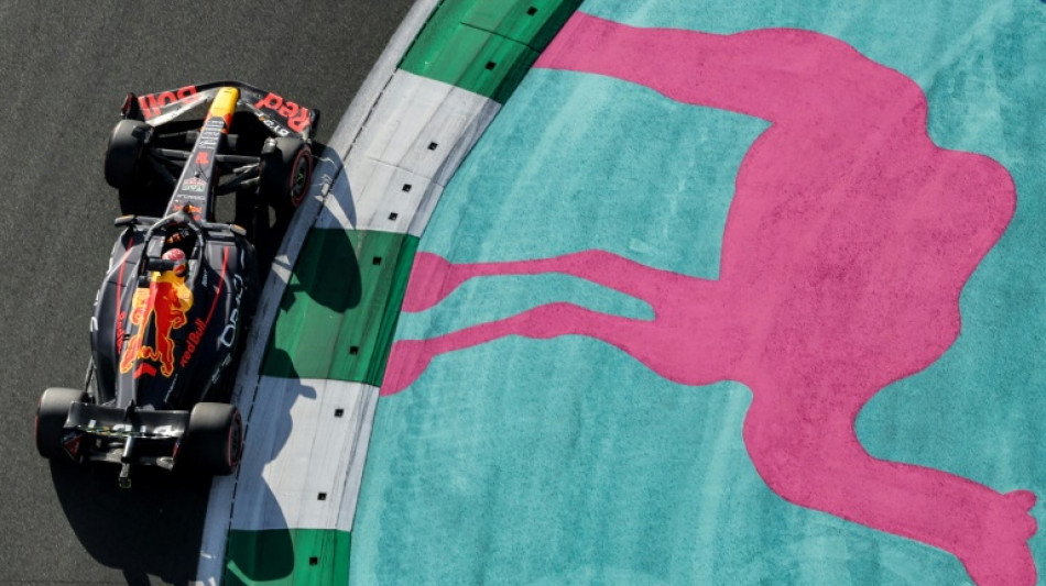 Verstappen shows stomach for fight as Red Bulls dominate