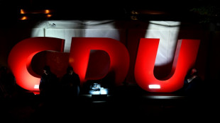 FDP begr&uuml;&szlig;t B&uuml;rgergeld-Konzept der CDU - und wirft ihr Ideenklau vor