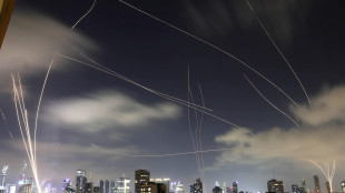 Idf, danneggiati i 2/3 dei lanciatori di missili iraniani