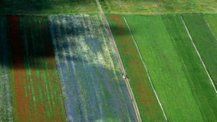 Arrestan en Italia bajo cargos de asesinato al patr&oacute;n que abandon&oacute; a un jornalero indio herido