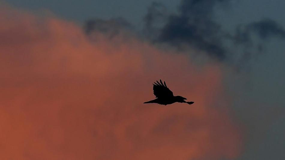 Mann in Bayern schie&szlig;t sich mit selbstgebastelter Waffe in den Bauch