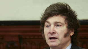 Argentinische Gouverneure drohen Pr&auml;sident Milei mit Stopp von Energielieferungen