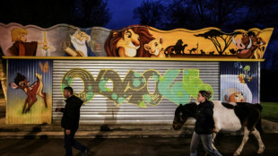 A Angoul&ecirc;me, un poney redonne le sourire aux sans-abri